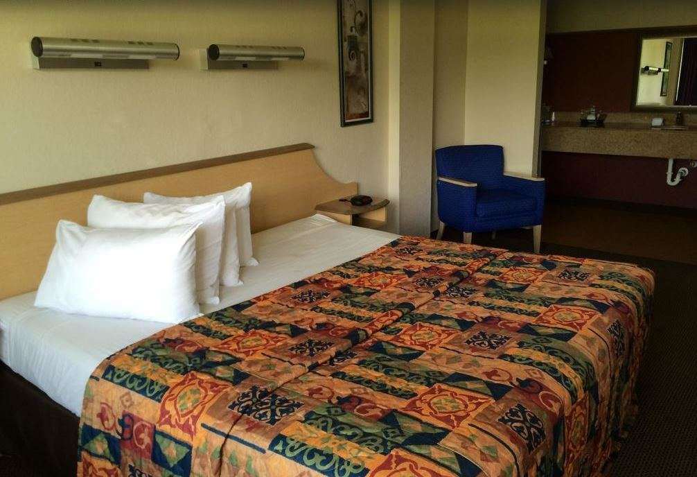 Econo Lodge Palm Harbor - Clearwater Pokój zdjęcie